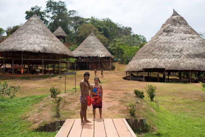 Embera Village and Miraflores Locks Day Trip from Colón: Culture, Canal & Rainforest