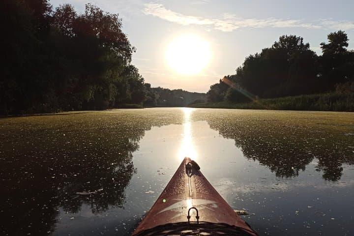 Kayak Around Great War Island: Belgrade Urban Wildlife Paddle photo 2