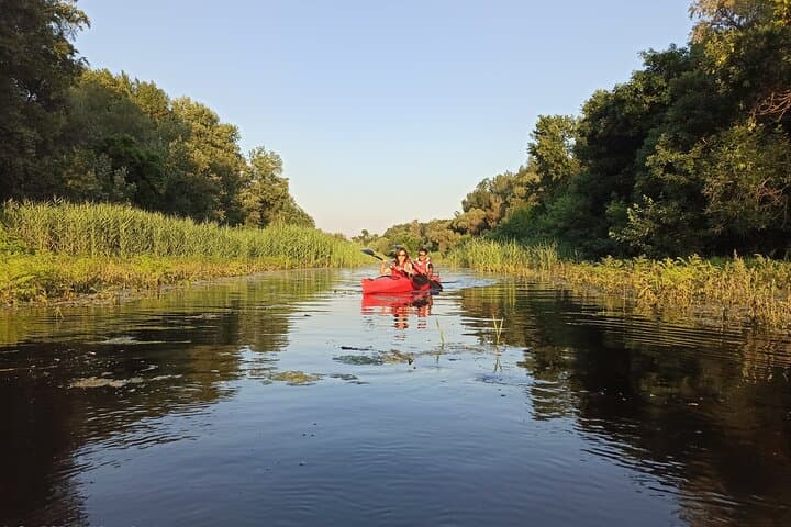 Kayak Around Great War Island: Belgrade Urban Wildlife Paddle photo 3