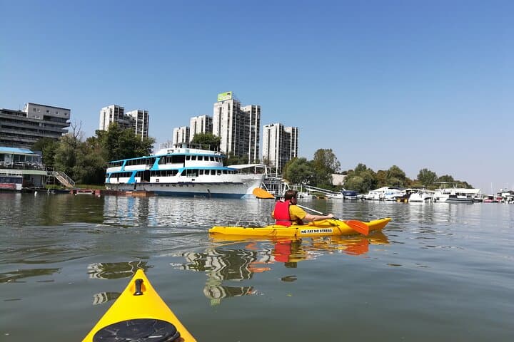 Kayak Around Great War Island: Belgrade Urban Wildlife Paddle photo 6
