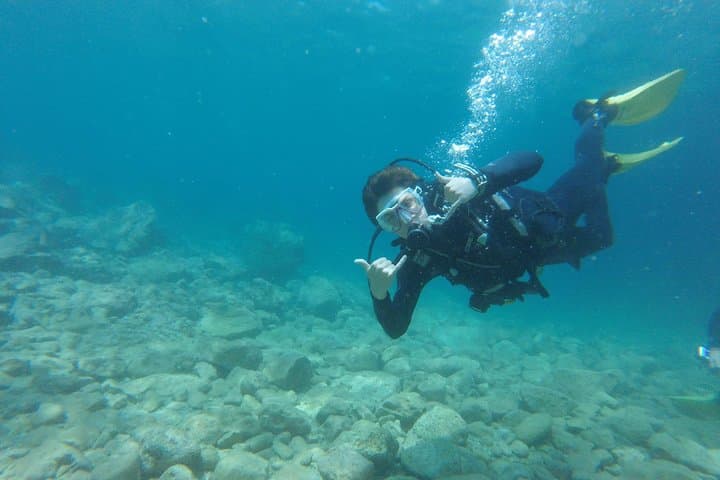 Discover Scuba Diving in Chania: Beginner-Friendly dives off Crete photo 4