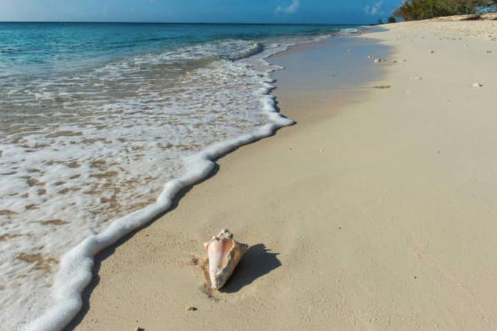 Grand Turk Private Beach Day with Lunch and Drinks for Cruise Guests photo 4