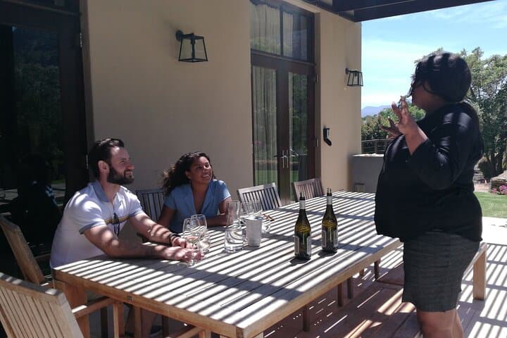 Stellenbosch Vineyard Walk & Wine Tasting — Half-Day Guided Vineyard Hike and Tastings photo 4