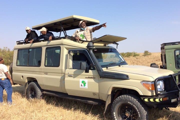 Nairobi National Park Half-Day Game Drive — City Skyline Safari photo 5