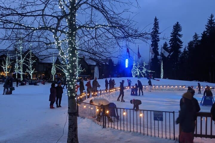 Private Vancouver to Whistler Tour: Sea-to-Sky Scenic Drive, Peak 2 Peak Gondola & Wildlife photo 4