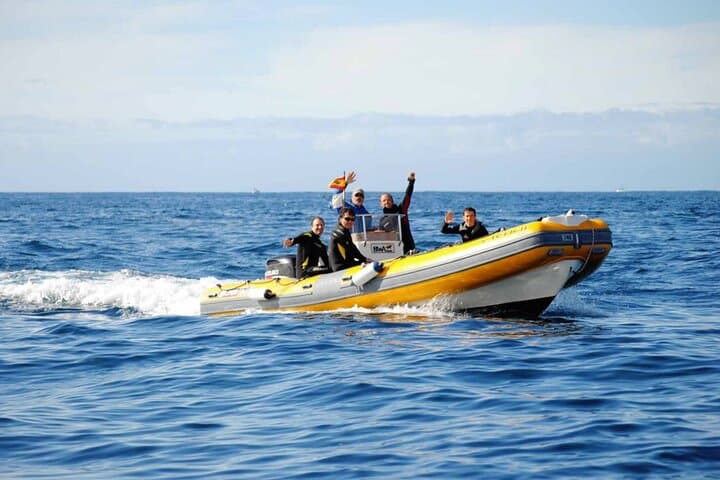Discover Tenerife: Beginner Scuba Diving by Boat from Puerto Colón photo 4