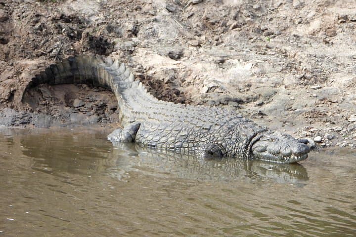 6-Day Kenya Safari: Amboseli, Aberdares & Samburu Wildlife Tour photo 4