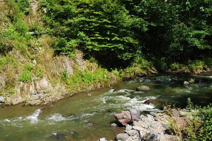 Jeep Day Trip to Tabatskuri Lake from Tbilisi — Borjomi & Bakuriani Route photo 2