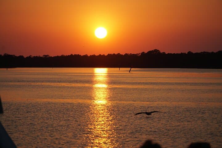 Orange Beach Dolphin and Nature Sunset Cruise: Shallow-Creek Sunset Excursion photo 2