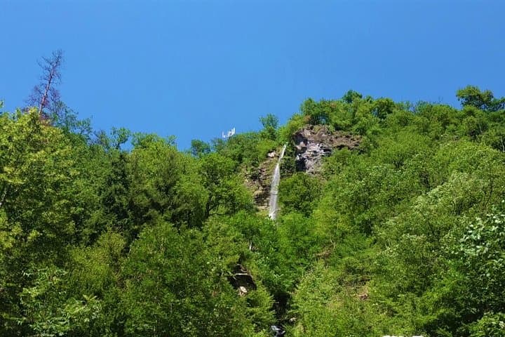Jeep Day Trip to Tabatskuri Lake from Tbilisi — Borjomi & Bakuriani Route photo 3