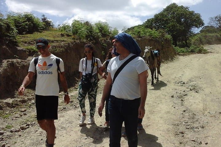 Wonchi Crater Lake Full-Day Trek: Boat to Island Monastery & Hot Springs