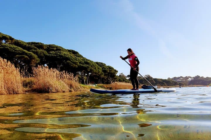 Stand Up Paddle Adventure on Albufeira Lagoon: Paddle, Birds and Fossil Cliffs near Lisbon