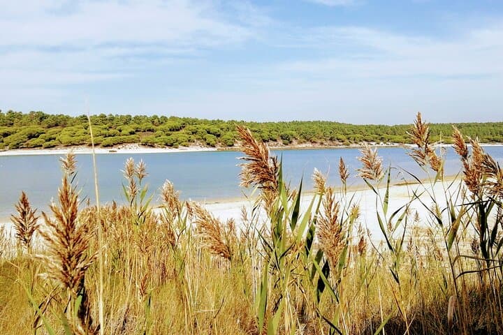 Stand Up Paddle Adventure on Albufeira Lagoon: Paddle, Birds and Fossil Cliffs near Lisbon photo 3