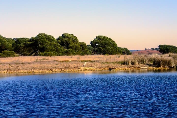 Stand Up Paddle Adventure on Albufeira Lagoon: Paddle, Birds and Fossil Cliffs near Lisbon photo 4