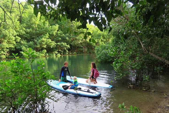 Stand-Up Paddle in Guadeloupe: Mangrove-to-Sea Adventure