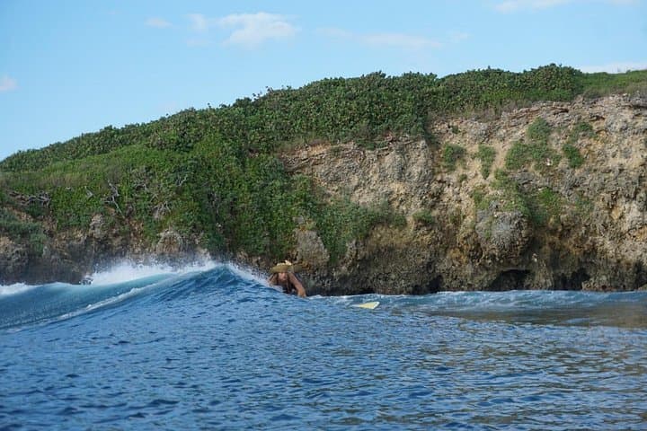Stand-Up Paddle in Guadeloupe: Mangrove-to-Sea Adventure photo 4