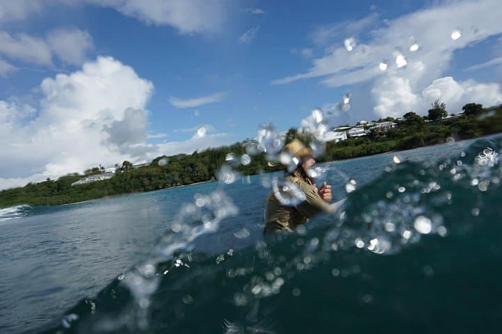 Stand-Up Paddle in Guadeloupe: Mangrove-to-Sea Adventure photo 5