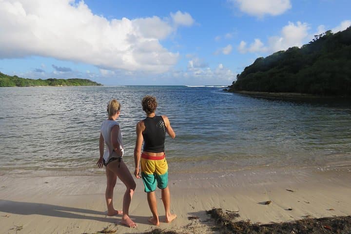 Stand-Up Paddle in Guadeloupe: Mangrove-to-Sea Adventure photo 6