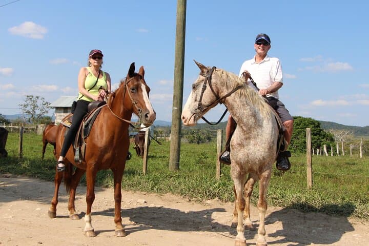 Jungle Farm Trail Ride and Xunantunich Maya Ruins Tour from San Ignacio photo 3