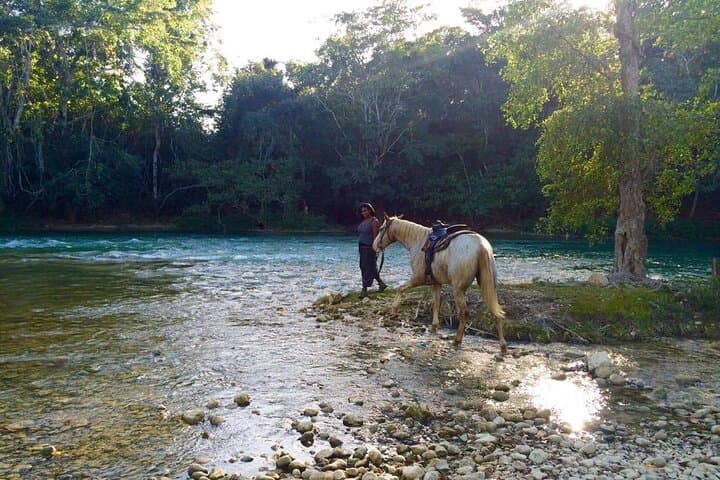 Jungle Farm Trail Ride and Xunantunich Maya Ruins Tour from San Ignacio photo 6
