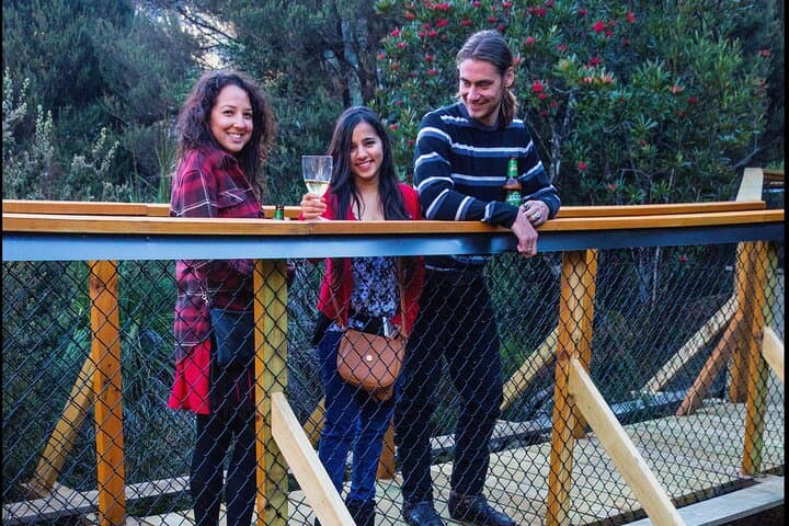 Twilight with the Devils: Cradle Mountain Sunset Sanctuary Experience photo 4