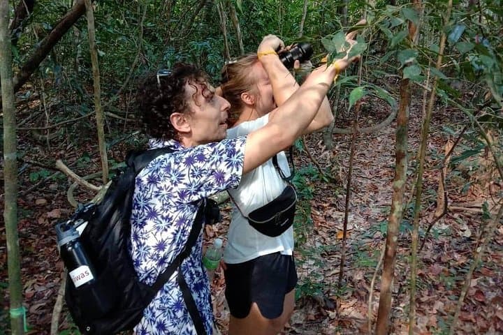 Birdwatching in Desaru: Spot Coastal and Forest Birds on a Guided Morning Tour photo 2