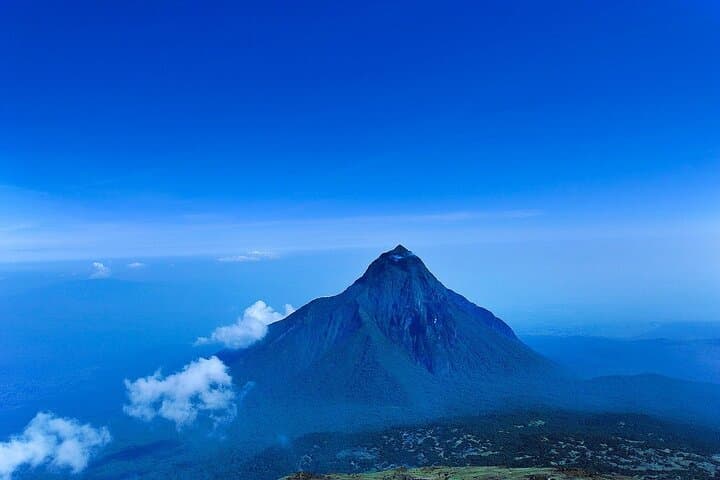 11-Day Uganda & Rwanda Private Safari — Gorilla Trekking, Chimp Tracking & Murchison Falls photo 3