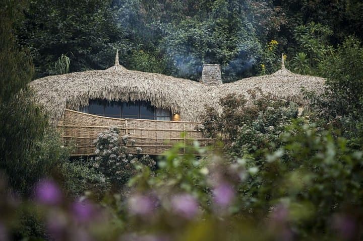 11-Day Uganda & Rwanda Private Safari — Gorilla Trekking, Chimp Tracking & Murchison Falls photo 4