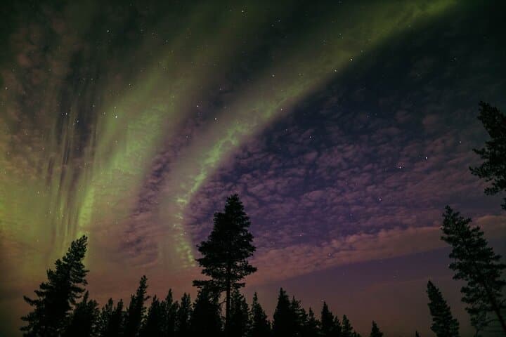 Rovaniemi Northern Lights Tour with BBQ & Drinks — 3-Hour Aurora Hunt photo 5