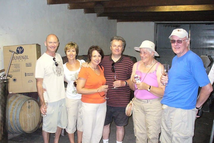 Stellenbosch Small-Group Daily Wine Tour: Family Vineyards & Thelema Views photo 4
