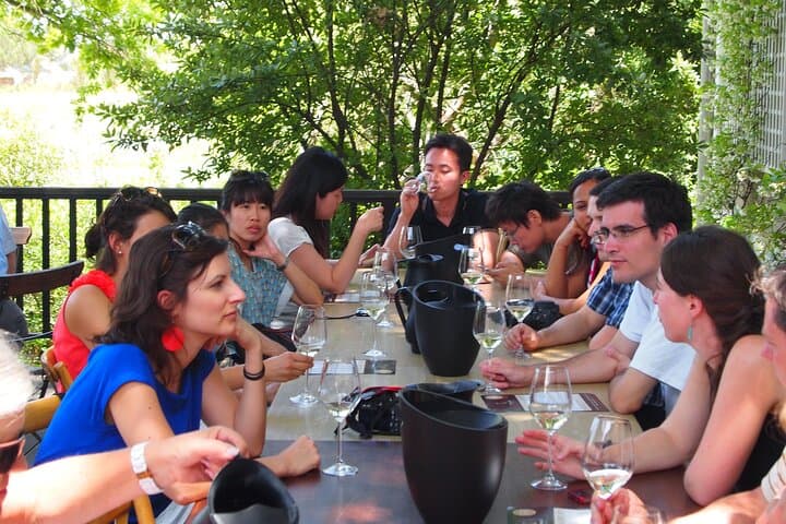 Hemel en Aarde Private White Wine Tour from Hermanus — Walker Bay Tastings & Coastal Drive photo 2