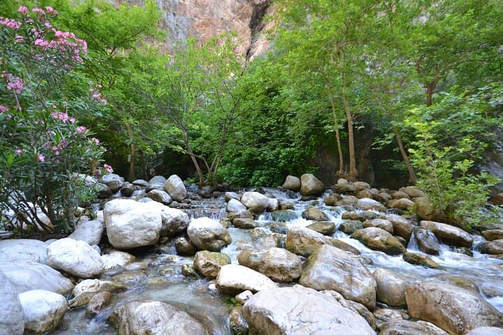Canyon to Coast: Saklikent Gorge, Ancient Tlos & Patara Beach Day Tour photo 3