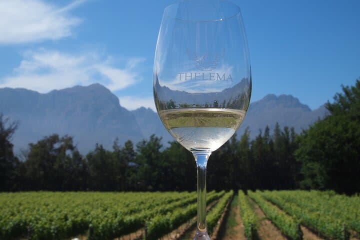 Hemel en Aarde Private White Wine Tour from Hermanus — Walker Bay Tastings & Coastal Drive photo 4