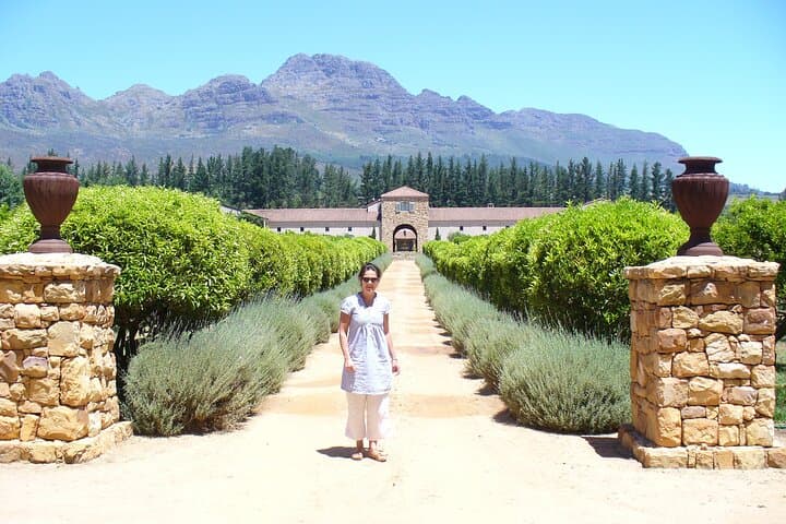 Hemel en Aarde Private White Wine Tour from Hermanus — Walker Bay Tastings & Coastal Drive photo 5