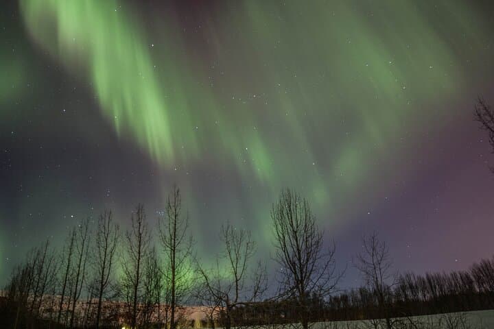 Aurora Hunt: Northern Lights MiniBus Tour from Akureyri photo 4