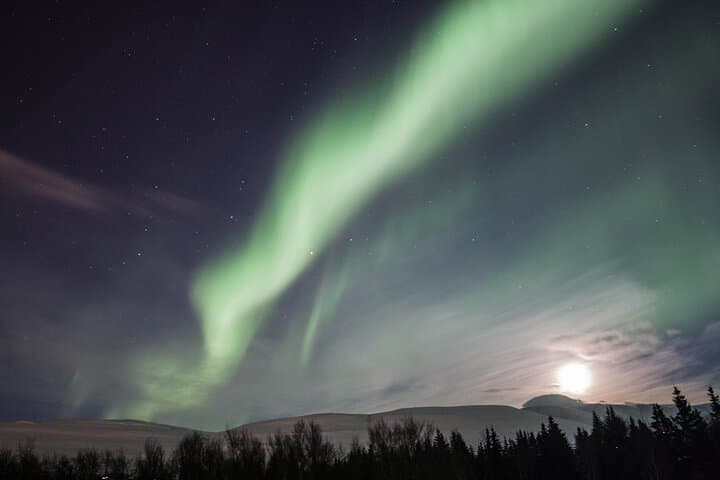Aurora Hunt: Northern Lights MiniBus Tour from Akureyri photo 3