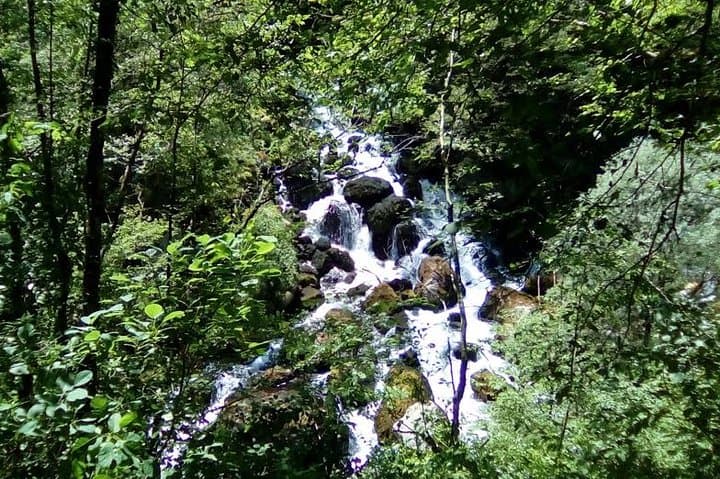 Mrtvica Canyon Hike from Kolašin — Day Trip to Danilo Bridge photo 4