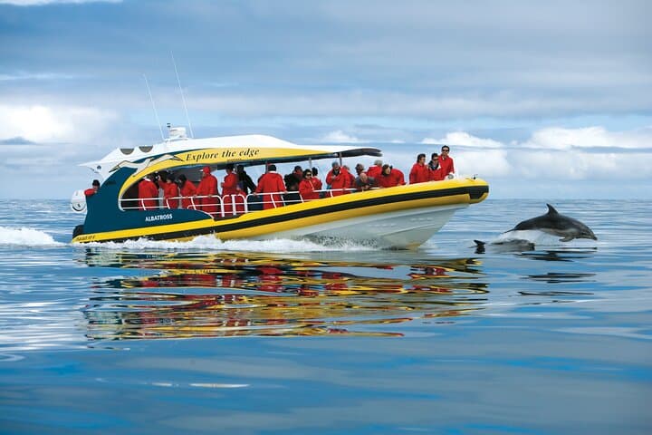 Tasman Peninsula Wilderness Cruise and Port Arthur Day Tour from Hobart photo 2