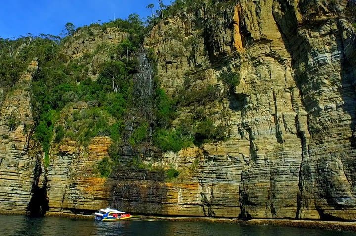 Tasman Peninsula Day Cruise from Hobart: Sea Cliffs, Caves & Wildlife photo 4