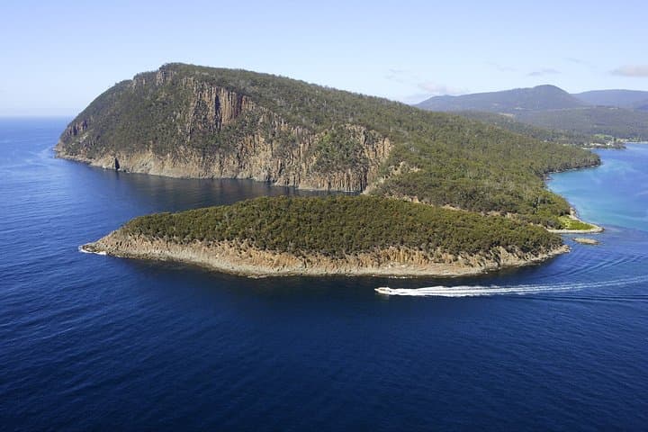 3-Hour Bruny Island Wilderness Cruise from Adventure Bay photo 3