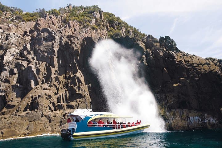 3-Hour Bruny Island Wilderness Cruise from Adventure Bay photo 4