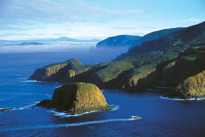 3-Hour Bruny Island Wilderness Cruise from Adventure Bay photo 6