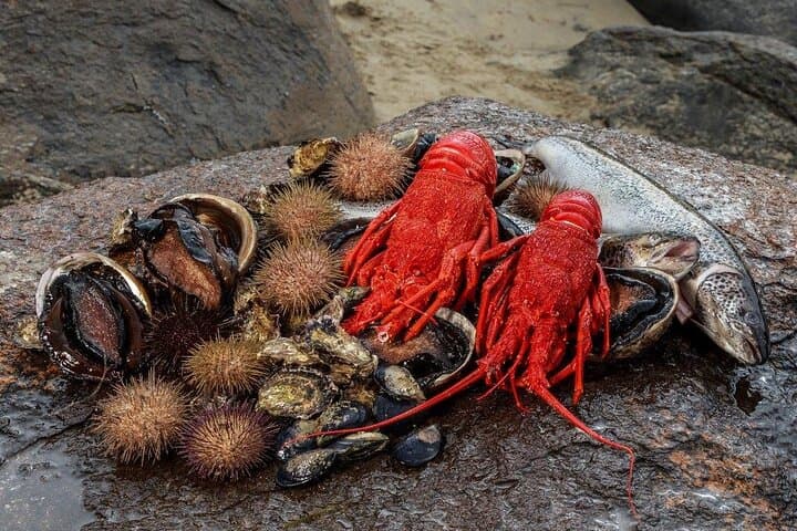 Bruny Island Seafood Cruise: Full-Day Tasmanian Gourmet Lunch from Hobart