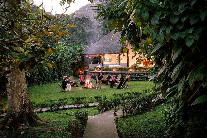 Private 10-Day Primate Experience and Queen Elizabeth Safari — Gorilla Trekking & Chimps in Uganda photo 4