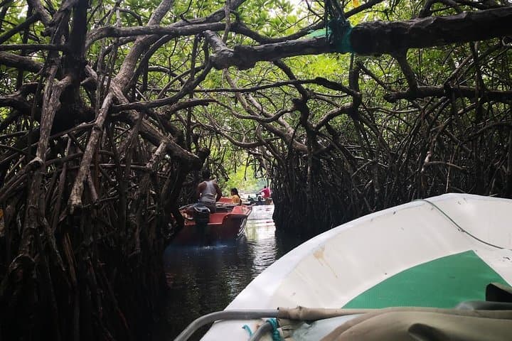 Bentota Day Tour: Lunuganga Gardens & Madu River Safari from Panadura photo 1