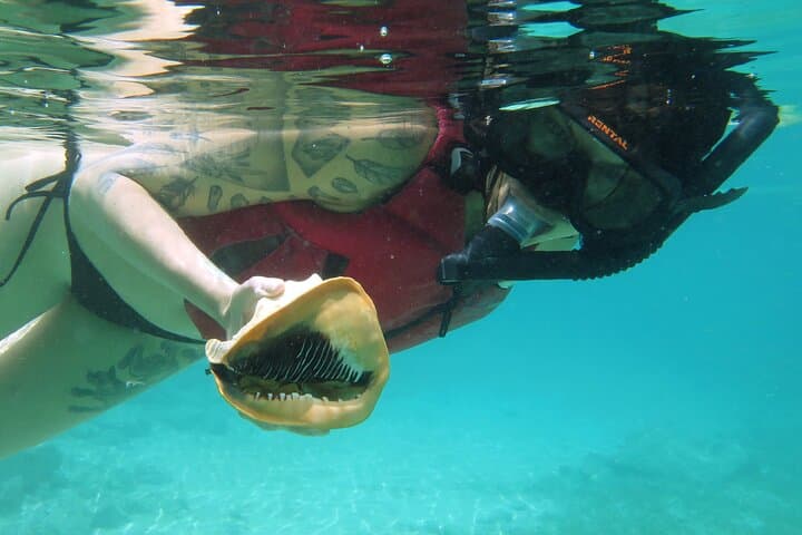 St. Thomas Kayak & Sea Turtle Snorkel: Guided Paddle to Protected Bays photo 3