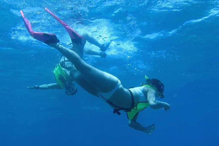 St. Thomas Reef and Turtle Kayak & Snorkel Tour