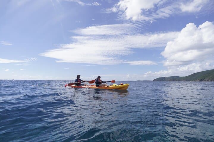 St. Thomas Reef and Turtle Kayak & Snorkel Tour photo 3