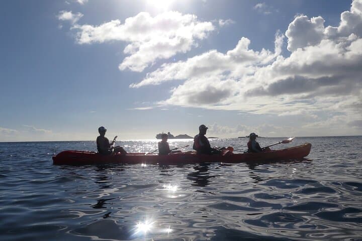 St. Thomas Coral Reef & Turtle Discovery: Kayak, Snorkel, Picnic photo 3