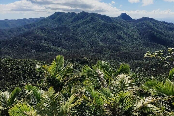 El Yunque Waterslides and Luquillo Beach: Rainforest Walk & Natural Pools